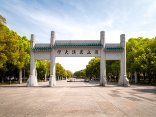 ⭐出售稳定的
支付宝大批量批发号
哪里有卖一手货源的